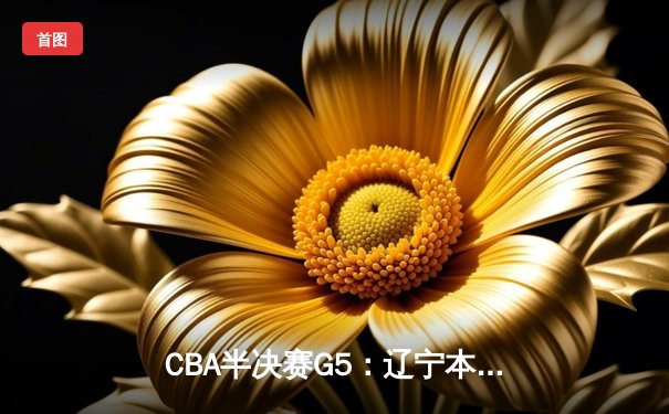 CBA半决赛G5：辽宁本钢加时逆转广东宏远 赵继伟33分率队挺进总决赛